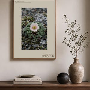Fictional Fog Hourglass Plant Print – Nebulanthus Atacamenis, Dark Academia Decor (Digital Download) image 3