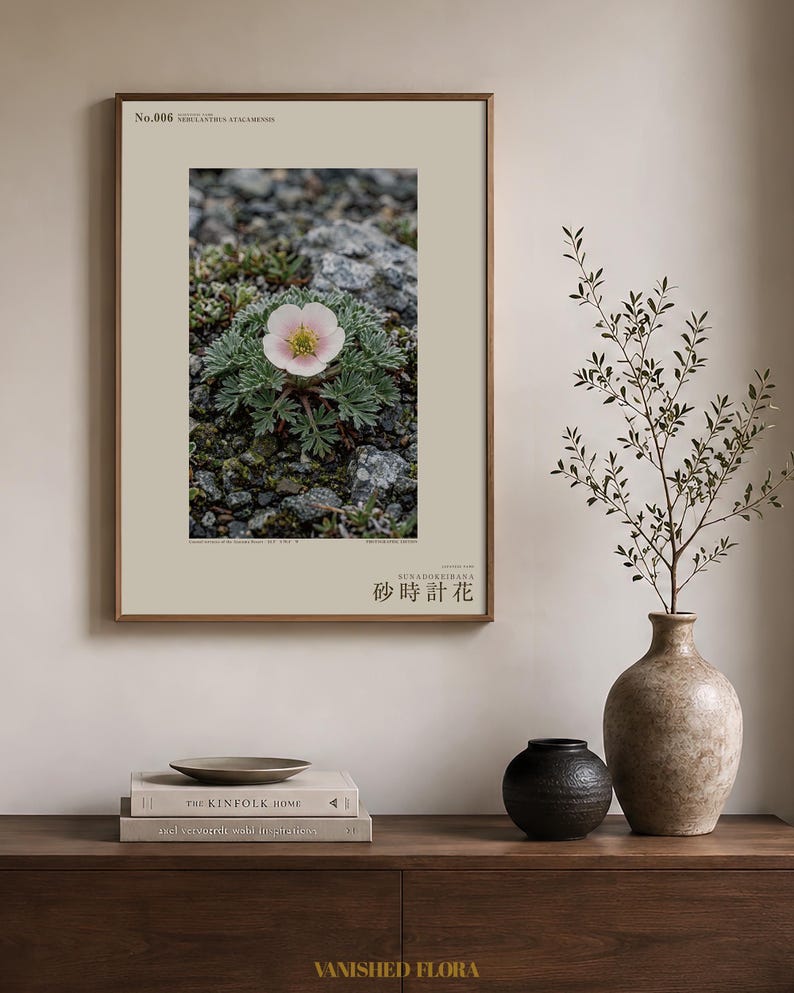 Fictional Fog Hourglass Plant Print – Nebulanthus Atacamenis, Dark Academia Decor (Digital Download) image 3