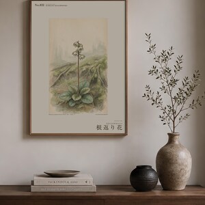 Imaginary Treefall Light Botanical Print – Radicava Bialowiensis Wall Art (Digital Download) image 3