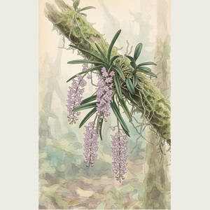 Cloudforest Orchid Print – Extinct Andean Epiphyte, Gothic Botanical Art (Digital Download) image 2