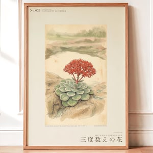 Vanished Flora Print – Thrice-count Flower, Western Ghats Botanical Illustration (Digital Download)