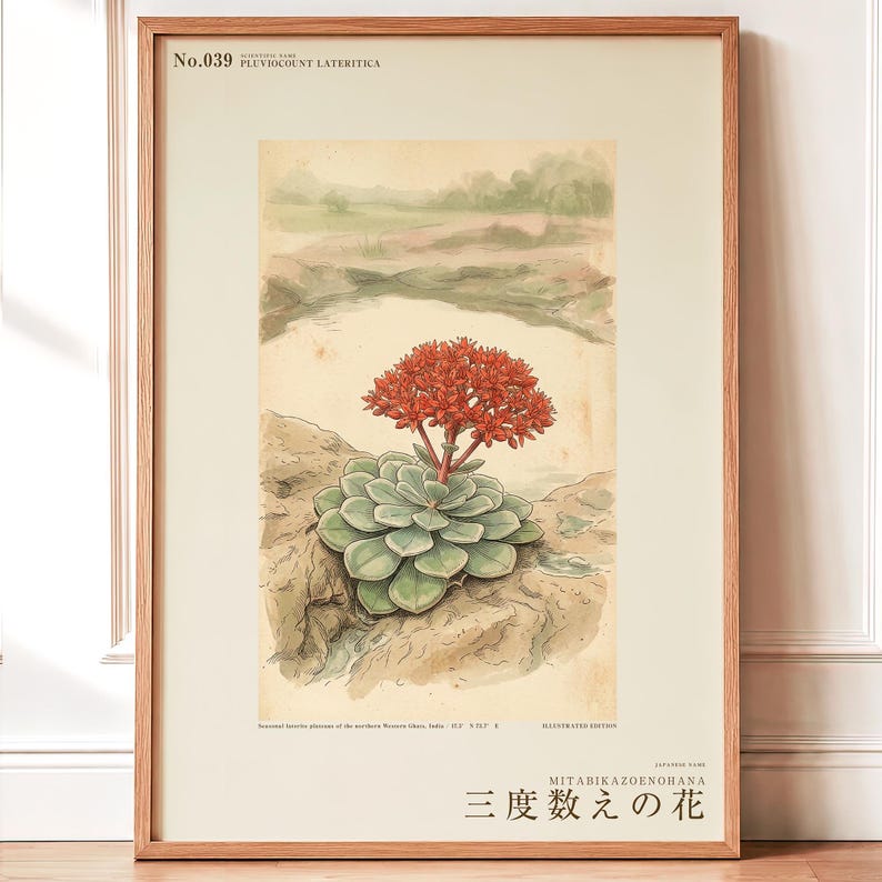 Vanished Flora Print – Thrice-count Flower, Western Ghats Botanical Illustration (Digital Download) image 1