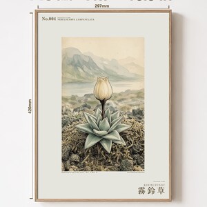 Mist Bell Herbarium Plate – Nebulocampa campanulata, Dark Academia Wall Art (Digital Download) image 5
