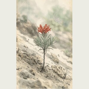 Ashveil Flower Print – Cineranthus vulcanicus, Moody Botanical Specimen (Digital Download) image 2