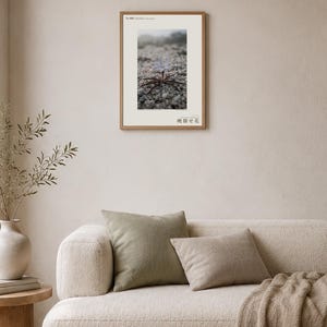 Frozen Flower Print – Vanished Bloom Specimen Photograph (Digital Download) image 4