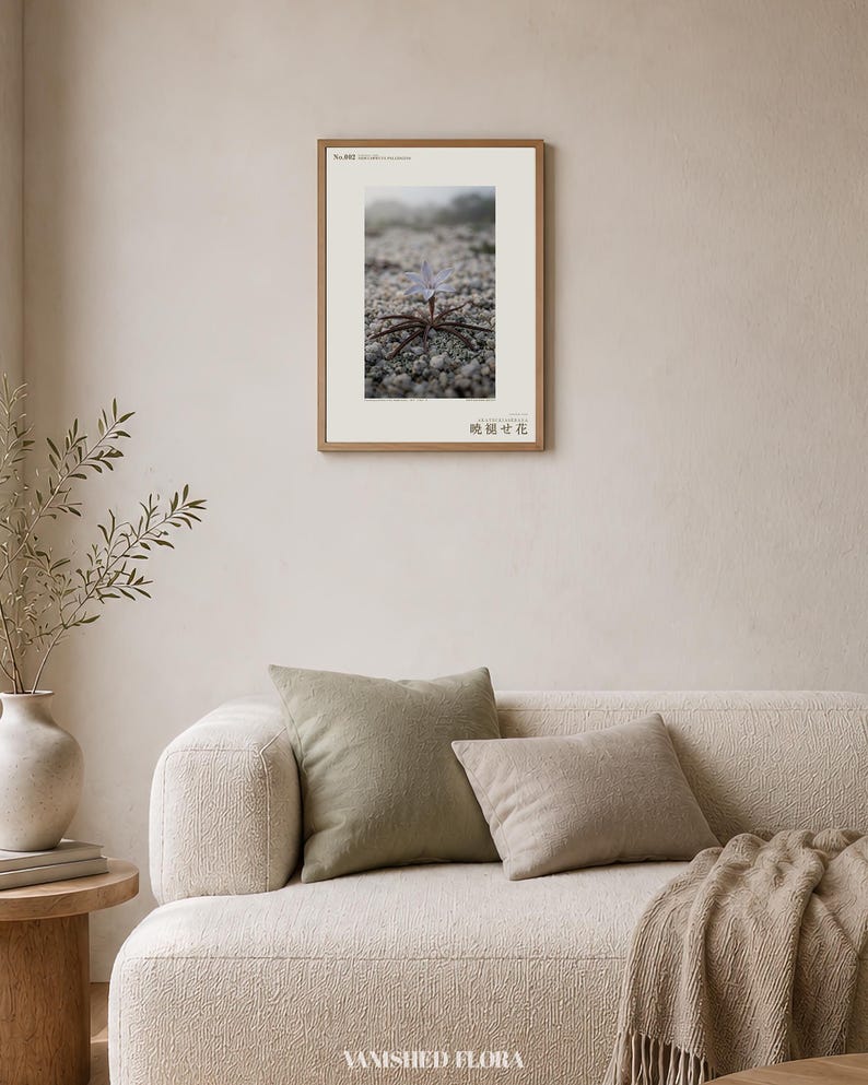 Frozen Flower Print – Vanished Bloom Specimen Photograph (Digital Download) image 4