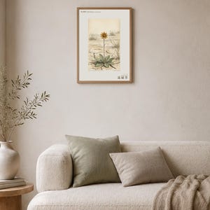Stampa botanica speculativa di una pianta erbacea – Radix dispersa tschadensis, flora del lago Ciad (download digitale) immagine 4