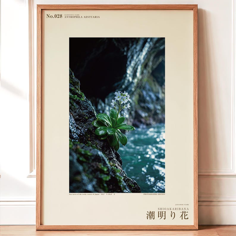 Tideglow Flower Print – Vanished Japanese Cave Flora, Gothic Wall Art (Digital Download) image 1
