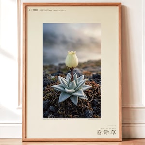 Mist Bell Photograph – Extinct Azores Bog Flower, Gothic Dark Academia Wall Art (Digital Download) image 1