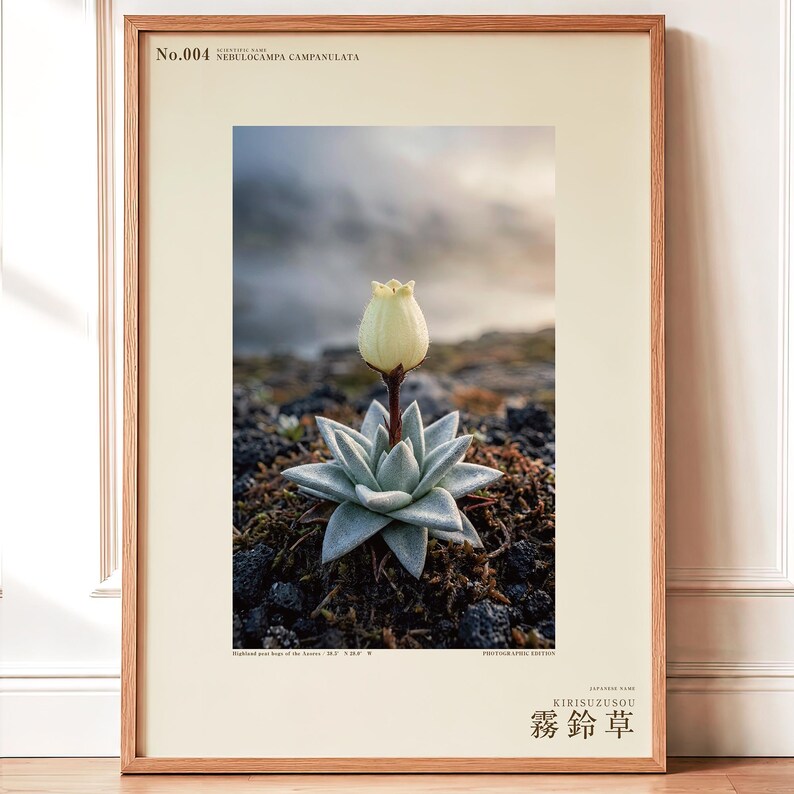 Mist Bell Photograph – Extinct Azores Bog Flower, Gothic Dark Academia Wall Art (Digital Download) image 1