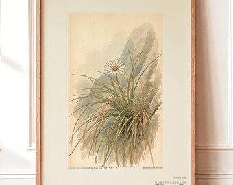 Cave-mouth Bloom Print – Antroflora luminis, Dark Academia Botanical Art (Digital Download)