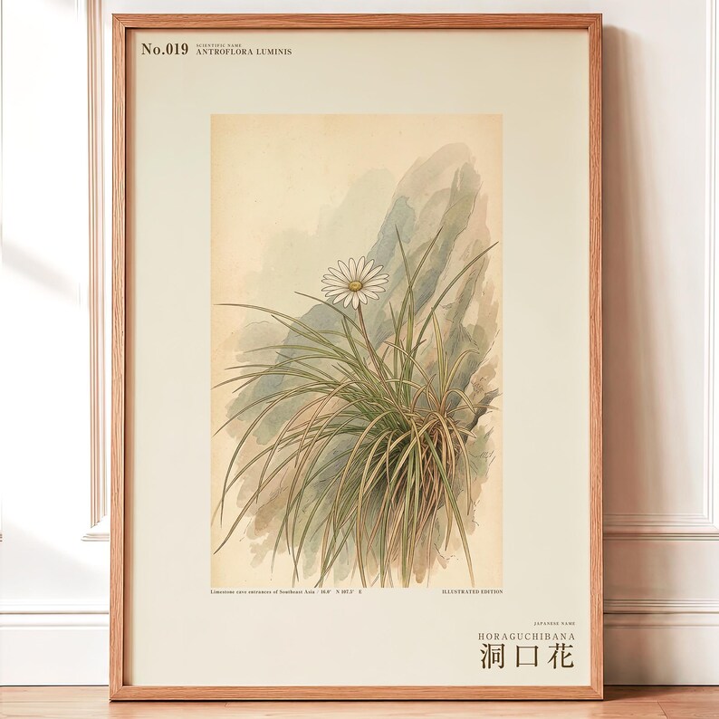 Cave-mouth Bloom Print – Antroflora luminis, Dark Academia Botanical Art (Digital Download) image 1