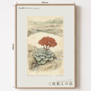 Vanished Flora Print – Thrice-count Flower, Western Ghats Botanical Illustration (Digital Download) image 5