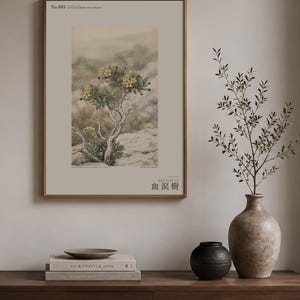 Socotran Bloodtear Print – Extinct Succulent Botanical Art (Digital Download) image 3