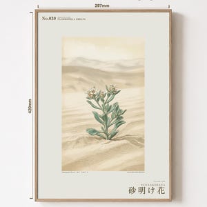 Sandwake Bloom Print – Extinct Taklamakan Flower Botanical Art (Digital Download) image 5