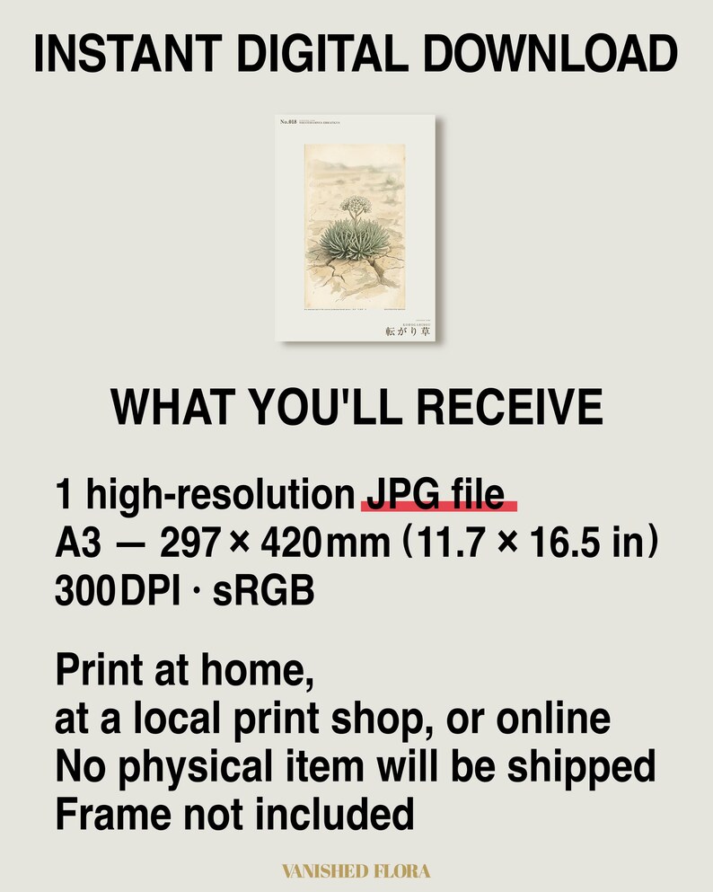 Wandering Tumbleweed Botanical Print – Speculative Desert Herb (Digital Download) image 8