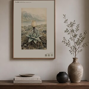 Mist Bell Herbarium Plate – Nebulocampa campanulata, Dark Academia Wall Art (Digital Download) image 3