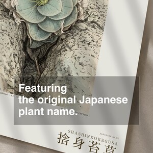 Sacrificial Rockmoss Print – Fictional Cameroon Plant, Archive Flora (Digital Download) image 6