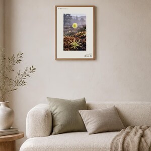 Sinking Bloom Botanical Photo Print – Fictional Paludis Mergens, Dark Academia Wall Art (Digital Download) image 4
