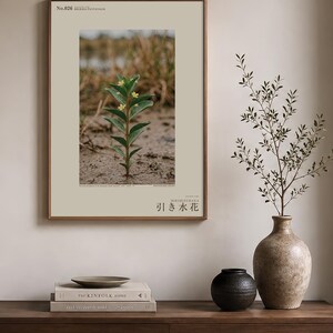 Fictional Ebbwater Flower Photograph – Recessa Pantanalis, Dark Academia Print (Digital Download) image 3