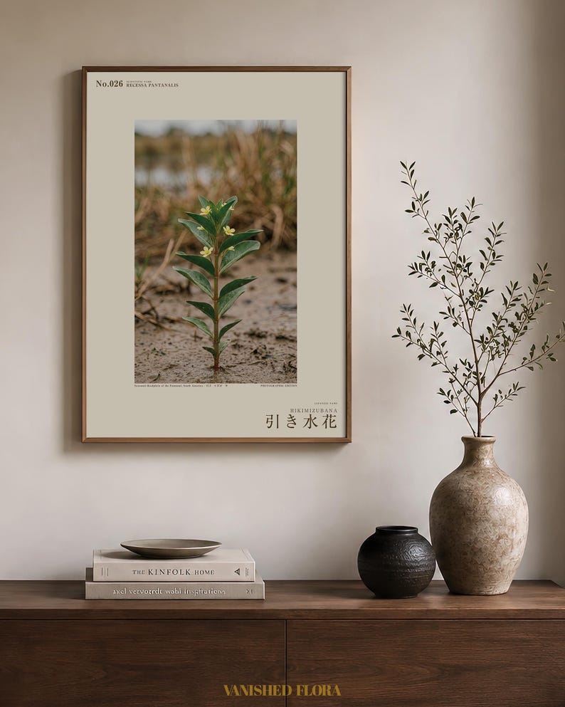 Fictional Ebbwater Flower Photograph – Recessa Pantanalis, Dark Academia Print (Digital Download) image 3