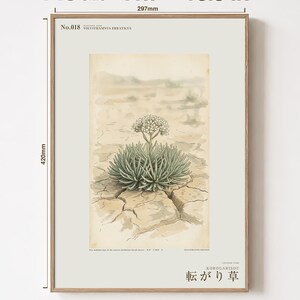 Wandering Tumbleweed Botanical Print – Speculative Desert Herb (Digital Download) image 5