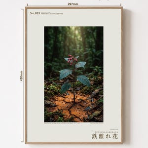Foto van de ijzershunbloem – Verdwenen roestaderige bloei, Congo Mineral Springs (digitale download) afbeelding 5