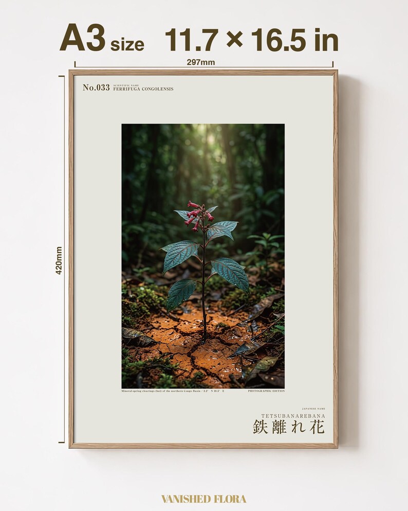 Foto van de ijzershunbloem – Verdwenen roestaderige bloei, Congo Mineral Springs (digitale download) afbeelding 5