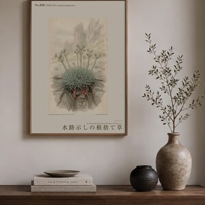 Channel-root Caster Print – Extinct Drakensberg Herb Botanical Art (Digital Download) image 3
