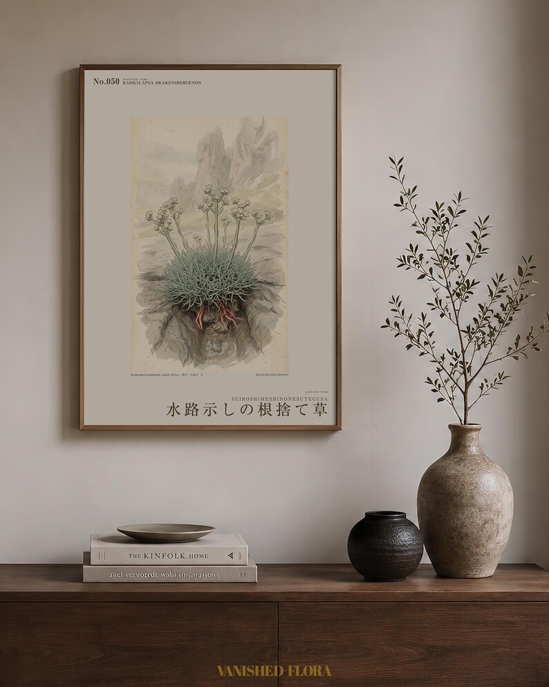Channel-root Caster Print – Extinct Drakensberg Herb Botanical Art (Digital Download) image 3