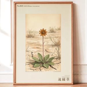 Stampa botanica speculativa di una pianta erbacea – Radix dispersa tschadensis, flora del lago Ciad (download digitale) immagine 1