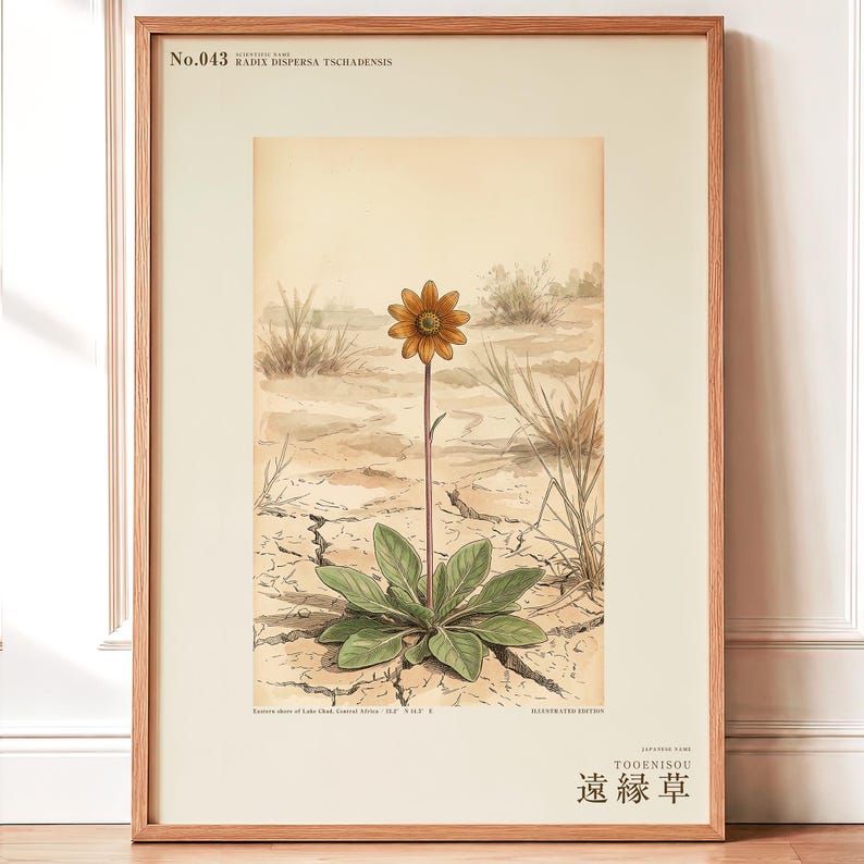 Stampa botanica speculativa di una pianta erbacea – Radix dispersa tschadensis, flora del lago Ciad (download digitale) immagine 1