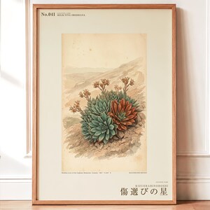 Obsidian Star Herbarium Plate – Imaginary Armenian Flower Botanical Study (Digital Download)