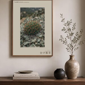 Fotografía de hierba de raíz partida – Bifidoradix troodosensis, decoración Dark Academia (descarga digital) imagen 3