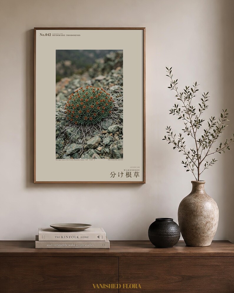 Fotografía de hierba de raíz partida – Bifidoradix troodosensis, decoración Dark Academia (descarga digital) imagen 3