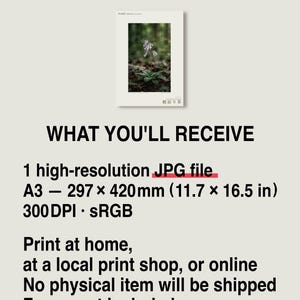 Imaginary Herb Print – Umbravena teraiensis, Dark Academia Botanical Art (Digital Download) image 8