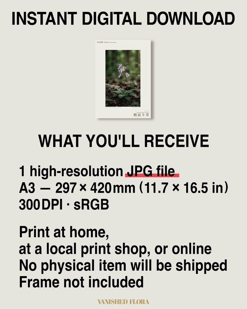 Imaginary Herb Print – Umbravena teraiensis, Dark Academia Botanical Art (Digital Download) image 8