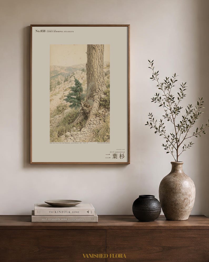 Two-form Cedar Print – Atlas Mountains Specimen Study (Digital Download) image 3