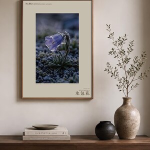 Ice-Clad Bell Flower Print – Crystallanthus altaicus, Moody Nature Photography (Digital Download) image 3