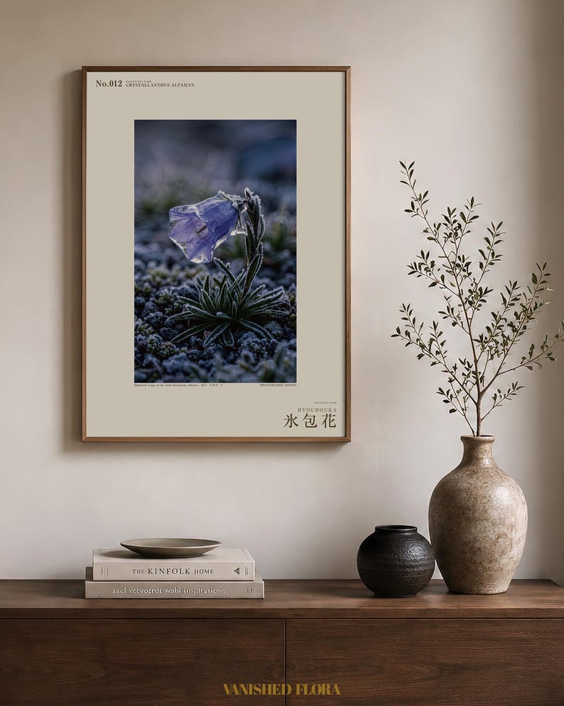 Ice-Clad Bell Flower Print – Crystallanthus altaicus, Moody Nature Photography (Digital Download) image 3