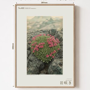 Fictional Iceland Lava Pioneer Print – Pyrolava fissicola Botanical Art (Digital Download) image 5
