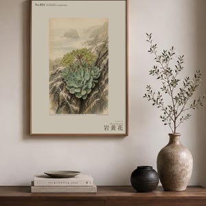 Seabird Cliffbloom Specimen Print – Guanophila maritima, Vanished Flora Art (Digital Download) image 3