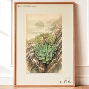 Seabird Cliffbloom Specimen Print – Guanophila maritima, Vanished Flora Art (Digital Download) image 1