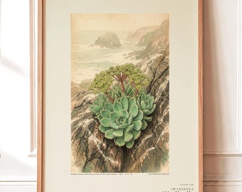 Seabird Cliffbloom Specimen Print – Guanophila maritima, Vanished Flora Art (Digital Download)