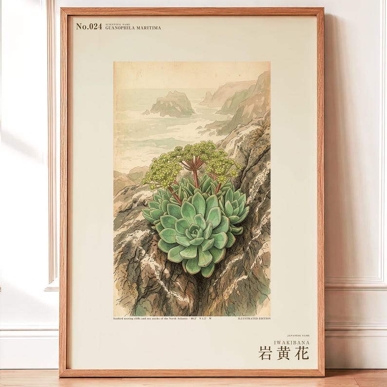 Seabird Cliffbloom Specimen Print – Guanophila maritima, Vanished Flora Art (Digital Download) image 1