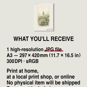 Imaginary Treefall Light Botanical Print – Radicava Bialowiensis Wall Art (Digital Download) image 8