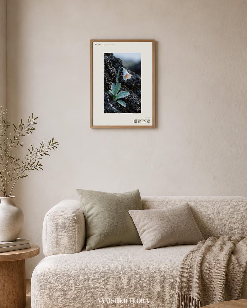 Fictional Aurora Glasscup Print – Canary Lava Mist Botanical Art (Digital Download) image 4