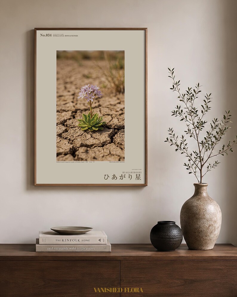 Drypool Star Print – Stellatia donianensis, Extinct Flower, Dark Academia Decor (Digital Download) image 3