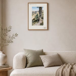 Two-form Cedar Print – Cedrus bimorpha atlasiana, Moody Nature Photography (Digital Download) image 4