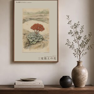 Vanished Flora Print – Thrice-count Flower, Western Ghats Botanical Illustration (Digital Download) image 3